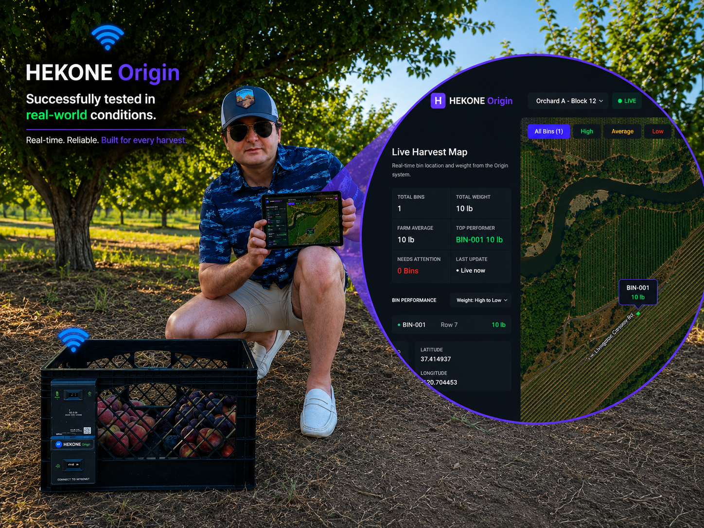 HEKONE Origin tested in real-world orchard conditions with live harvest dashboard and smart harvest bin